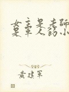 女主是老师男主是军人的小说