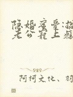 隐婚蜜爱:总裁老公宠上瘾 完本