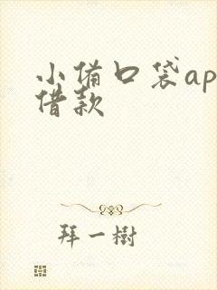 小备口袋app借款