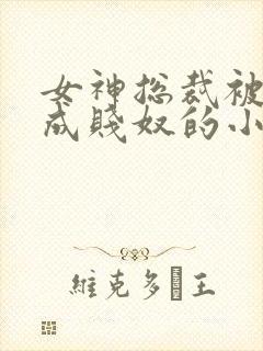 女神总裁被调教成贱奴的小说