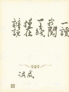 谁摸了我一下小说在线阅读