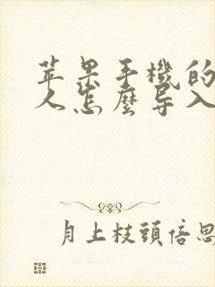 苹果手机的联系人怎么导入新手机