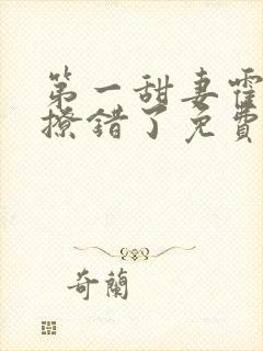 第一甜妻霍先生撩错了免费