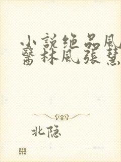 小说绝品风流狂医林风张慧无弹窗