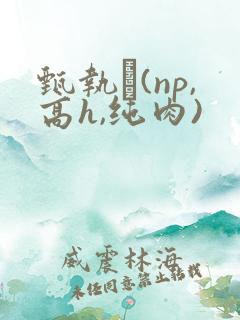 甄执�(np,高h,纯肉)