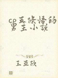 cp五条悟的双男主小说