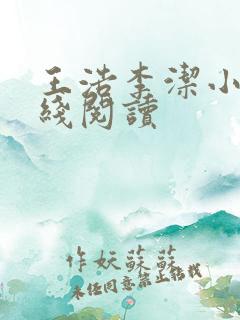 王浩李洁小说在线阅读