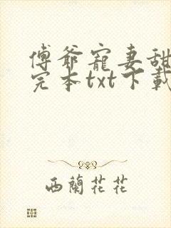 傅爷宠妻甜入骨完本txt下载