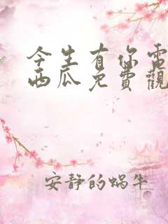 今生有你电视剧西瓜免费观看