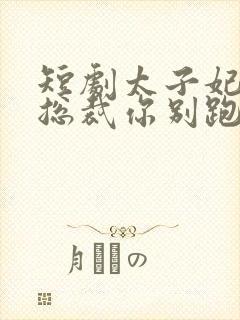 短剧太子妃驾到总裁你别跑
