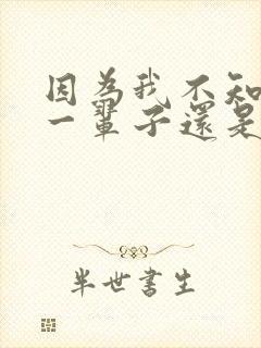 因为我不知道下一辈子还是否能遇见你