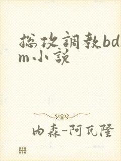 总攻调教bdsm小说