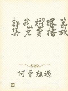 许我耀眼第22集免费播放