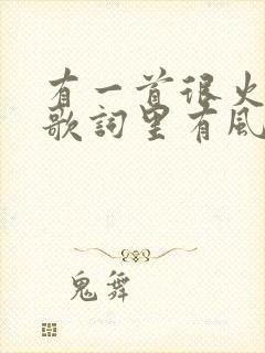 有一首很火的歌歌词里有风筝