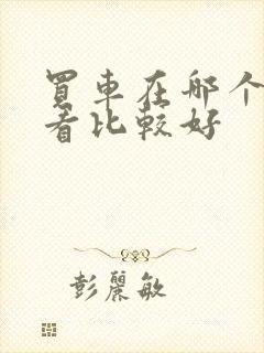 买车在哪个网站看比较好