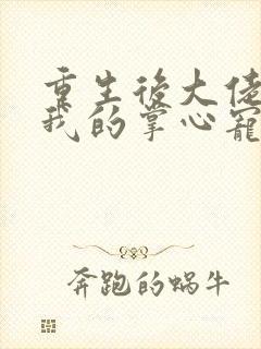 重生后大佬成了我的掌心宠