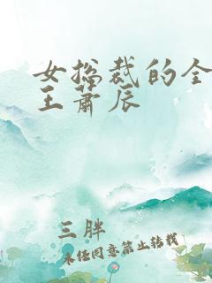 女总裁的全能兵王萧辰