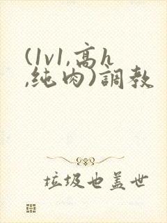 (1v1,高h,纯肉)调教