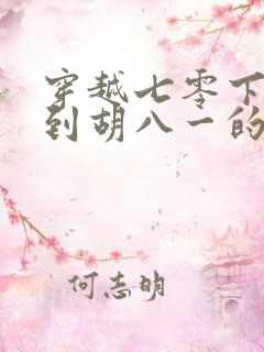 穿越七零下乡碰到胡八一的小说