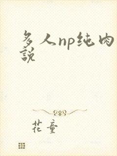多人np纯肉小说
