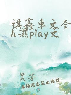 祺鑫车文全肉高h湿play文
