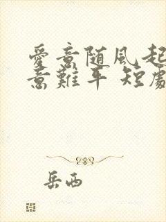 爱意随风起风止意难平 短剧