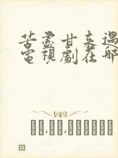 苦尽甘来遇见你电视剧在哪看