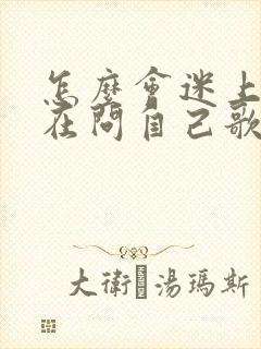 怎么会迷上你我在问自己歌词