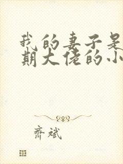 我的妻子是大乘期大佬的小说