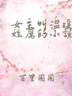 女主叫温暖男主姓厉的小说