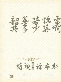 韶华若锦电视剧共多少集啊