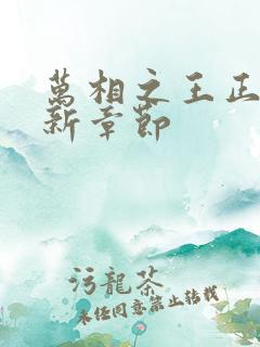 万相之王正版最新章节