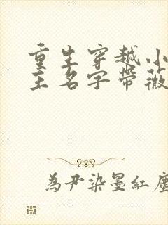 重生穿越小说女主名字带薇的