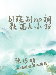 bl强制np调教高h小说