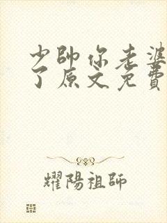 少帅你老婆又跑了原文免费阅读