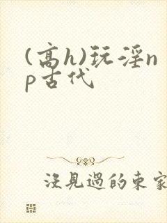 (高h)玩淫np古代