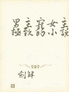 男主宠女主宠到极致的小说