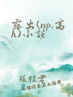 露出(np,高h)小说