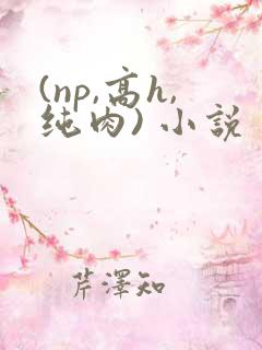 (np,高h,纯肉) 小说