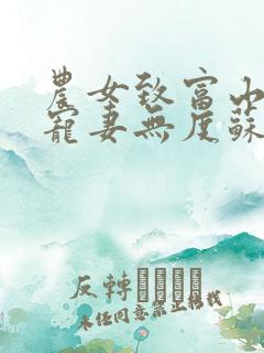 农女致富山里汉宠妻无度苏红珊