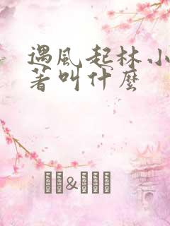 遇风起林小说原著叫什么