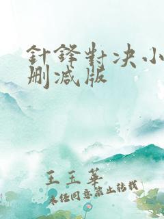 针锋对决小说未删减版