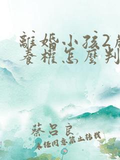 离婚小孩2岁抚养权怎么判