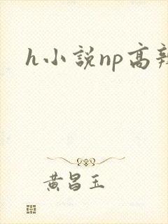 h小说np高辣