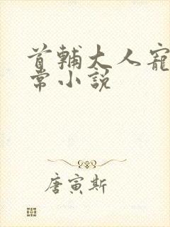 首辅大人宠妻日常小说