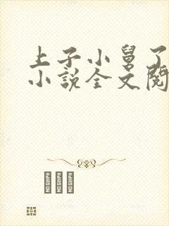 上子小舅了老婆小说全文阅读