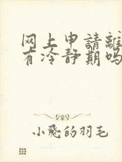 网上申请离婚还有冷静期吗