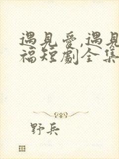 遇见爱,遇见幸福短剧全集在线观看