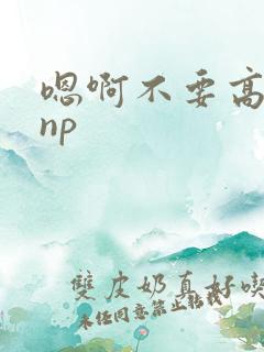 嗯啊不要高h np