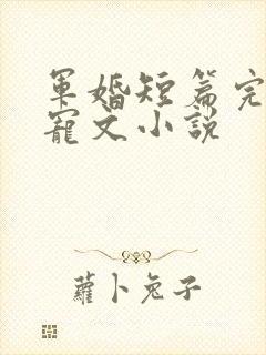 军婚短篇完结甜宠文小说